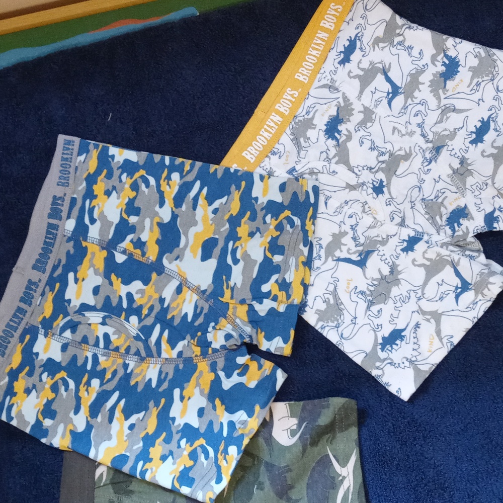 Brooklyn Boys 3 PC Multicolor 100% Soft Cotton Boxer Briefs M-8